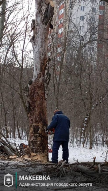 ����������� ������ ������������� �������� 6 �������