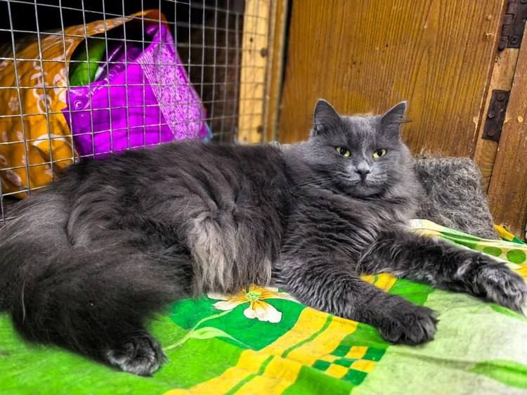 ��������� �� �������� � ��� 43 ����: ���� ���� ��� ���� �����