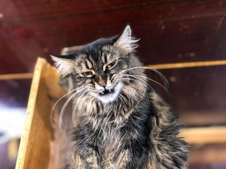 ��������� �� �������� �������� ���������� ������ ������ ����� ��� �������� ��������� �����