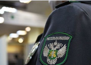 � ������ � 19 ������ �� 9 ������� �������� ���� ��������������� ���������� ���������� ����������������� �� ��� � ��� ������� ������� � ���������� � ������������� �������������� ������, ������ ��������, ������ ������� �...