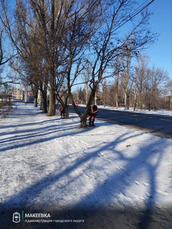 ����������� ������ ������������� �������� 10 �������