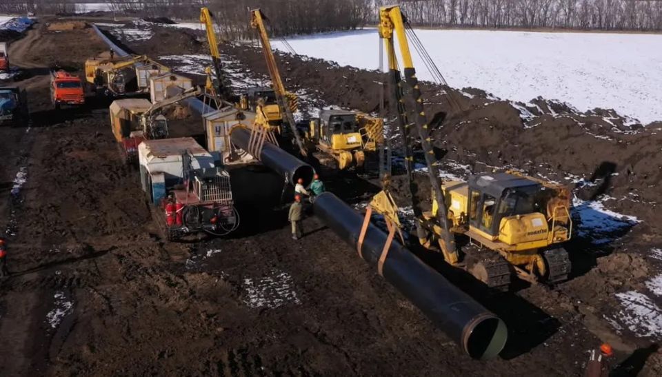 ������ ��������� ��� � ��� ������������ � 14 ��������������