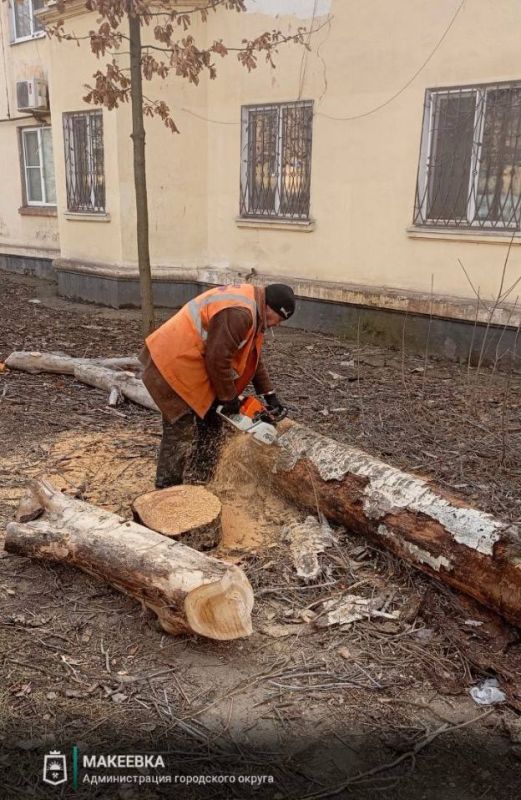 ����������� ������ ������������� �������� 17 �������