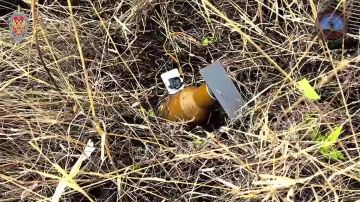 �� ������ ���������� 171 ��������� ����