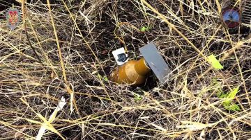 ���������� ��� ��������: "����� ��������" �� ������ ���������� 171 ���������� �����������