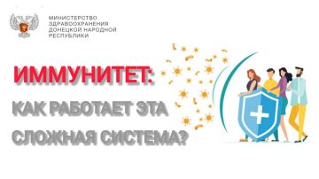 Мы часто слышим слово «иммунитет», но не всегда до конца понимаем, что за ним стоит