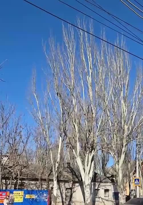 �� ��. ��������� � �������� ������� ���� �� ������