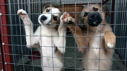 � �������� ��������� ������� ����� ��� ��������� ��������