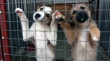 � �������� ��������� ������� ����� ��� ��������� ��������