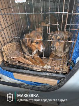 ������ �� ������������� ����������� ������������ �������� ������������