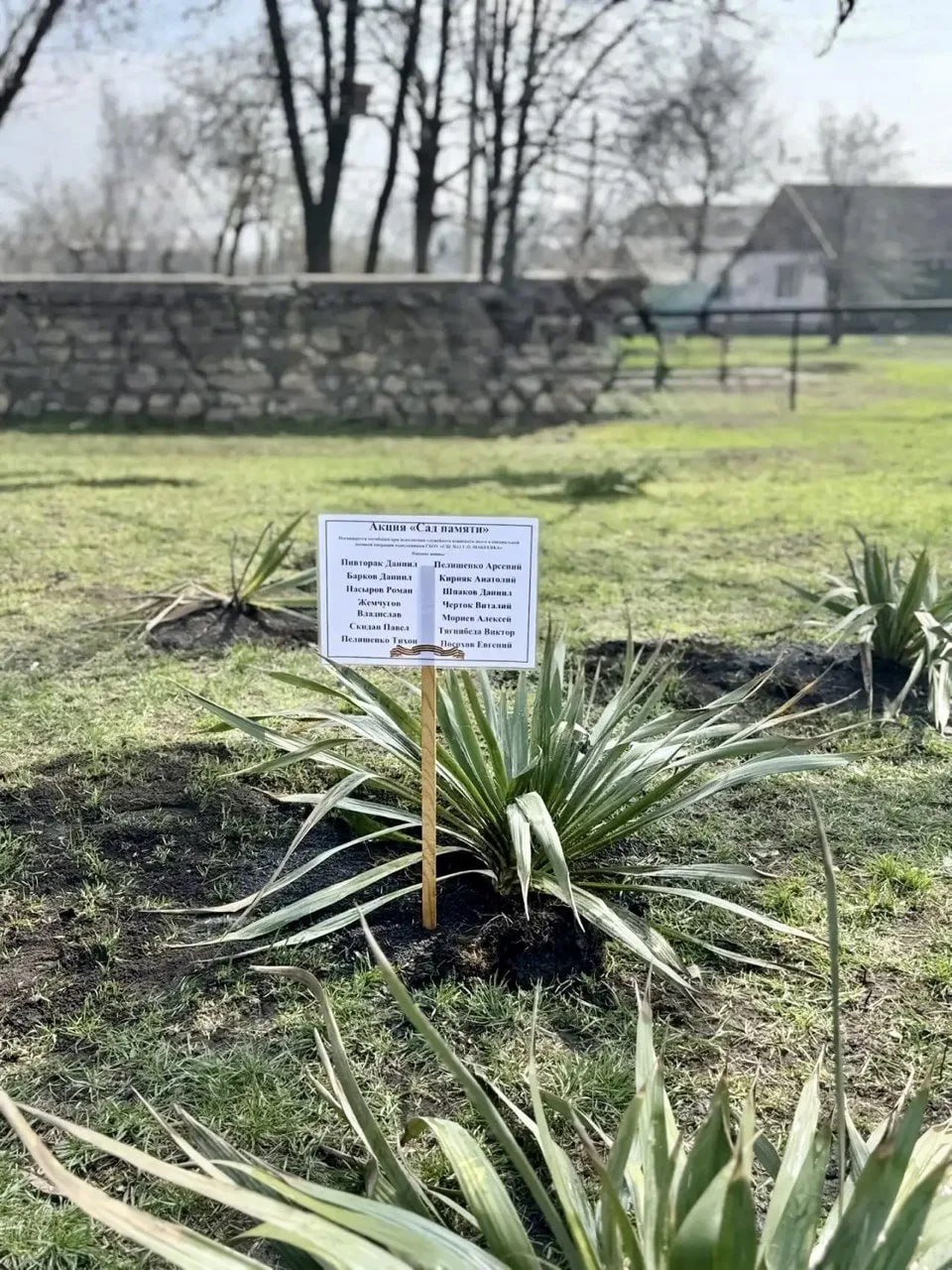 2 апреля 2026 года в ГБОУ "СШ № 11 Г.О. МАКЕЕВКА" состоялась Международная акция "Сад памяти", посвященная военнослужащим, павшим в ходе СВО 2 апреля 2026 года в ГБОУ "СШ № 11 Г.О. МАКЕЕВКА" состоялась Международная акция "Сад памяти", посвященная военнослужащим, павшим в ходе СВО