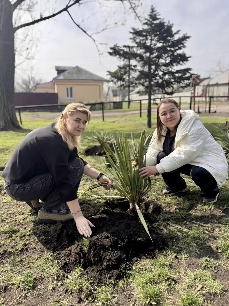 2 апреля 2026 года в ГБОУ "СШ № 11 Г.О. МАКЕЕВКА" состоялась Международная акция "Сад памяти", посвященная военнослужащим, павшим в ходе СВО 2 апреля 2026 года в ГБОУ "СШ № 11 Г.О. МАКЕЕВКА" состоялась Международная акция "Сад памяти", посвященная военнослужащим, павшим в ходе СВО