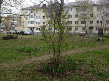 � ������ ����������� �� ��������������� � �������� ������ ��������� �������������� ���������� ���������� ��������������� ����������� �������� ����� �������� � 1 ���������� ������ �������� ������ ������� �...