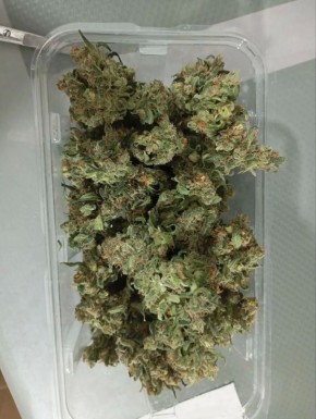 ������ ������������ ������ ��������� � ������ ��������