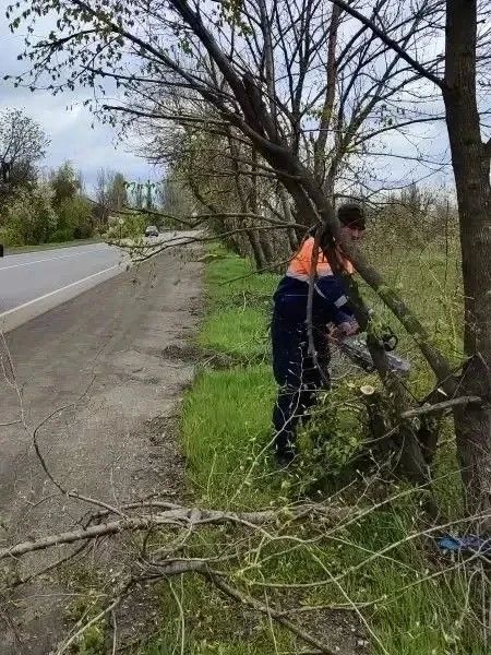 Дорожники на выходных уделили особое внимание уборке аварийных веток и деревьев вдоль дорог общего пользования Дорожники на выходных уделили особое внимание уборке аварийных веток и деревьев вдоль дорог общего пользования