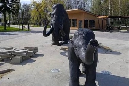 � �������� ����� �������� ������ ������ ��� ���� ����� ��������