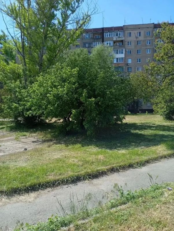 МТСЖ “Созвездие” провели масштабную работу по покосу сорных трав в рамках акции «Маленькие добрые дела» МТСЖ “Созвездие” провели масштабную работу по покосу сорных трав в рамках акции «Маленькие добрые дела»