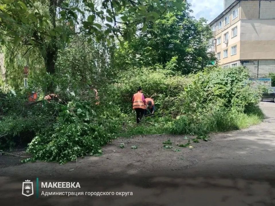 Итоги недели. Начало лета выдалось активным Итоги недели. Начало лета выдалось активным