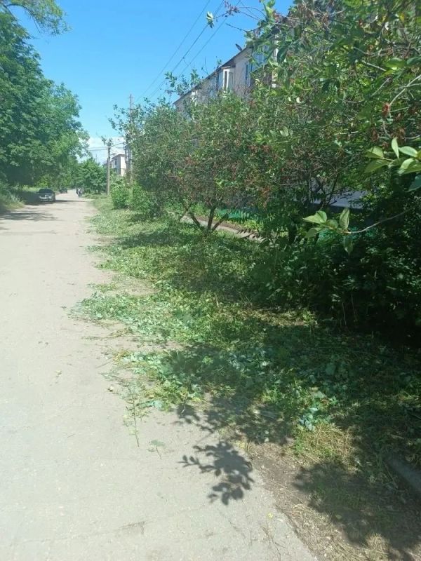 На территории Горняцкого внутригородского района проходит работа по покосу сорной растительности На территории Горняцкого внутригородского района проходит работа по покосу сорной растительности