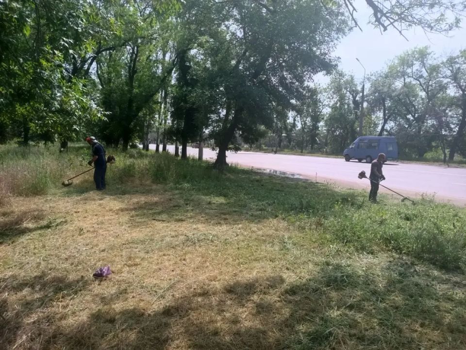 В Горняцком районе активно ведется работа по покосу сорной и карантинной травы, и сегодня в центре внимания — преображение главной транспортной артерии района, проспекта Генерала Данилова В Горняцком районе активно ведется работа по покосу сорной и карантинной травы, и сегодня в центре внимания — преображение главной транспортной артерии района, проспекта Генерала Данилова