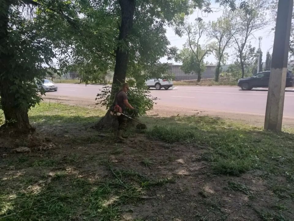 В Горняцком районе активно ведется работа по покосу сорной и карантинной травы, и сегодня в центре внимания — преображение главной транспортной артерии района, проспекта Генерала Данилова В Горняцком районе активно ведется работа по покосу сорной и карантинной травы, и сегодня в центре внимания — преображение главной транспортной артерии района, проспекта Генерала Данилова