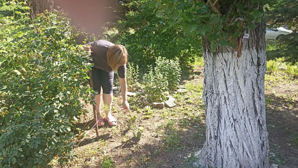 Сегодня, 18 июня, МБУДО «Спортивная школа № 2 города Макеевки», ГБДОУ «Детский сад № 29 общеразвивающего вида городского округа Макеевка», ГБПОУ «Макеевский техникум промышленных технологий им. Ф. И. Бачурина» в рамках акции... Сегодня, 18 июня, МБУДО «Спортивная школа № 2 города Макеевки», ГБДОУ «Детский сад № 29 общеразвивающего вида городского округа Макеевка», ГБПОУ «Макеевский техникум промышленных технологий им. Ф. И. Бачурина» в рамках акции...