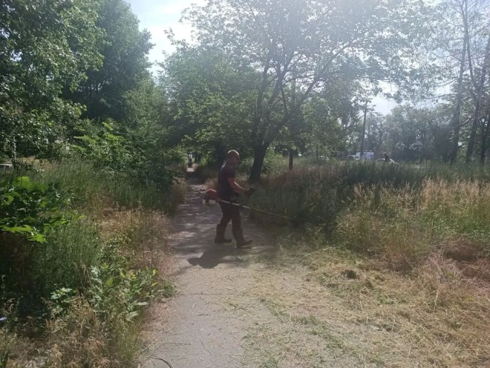 В Горняцком районе активно ведется работа по покосу сорной и карантинной травы, и сегодня в центре внимания — преображение главной транспортной артерии района, проспекта Генерала Данилова В Горняцком районе активно ведется работа по покосу сорной и карантинной травы, и сегодня в центре внимания — преображение главной транспортной артерии района, проспекта Генерала Данилова