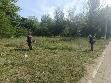 В Горняцком районе активно ведется работа по покосу сорной и карантинной травы, и сегодня в центре внимания — преображение главной транспортной артерии района, проспекта Генерала Данилова