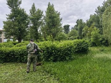 С целью приведения территории в надлежащее санитарное состояние силами МБУДО «Станция юных натуралистов города Макеевки» в квартале Северный проведены работы по покосу сорных и карантинных трав на своей территории