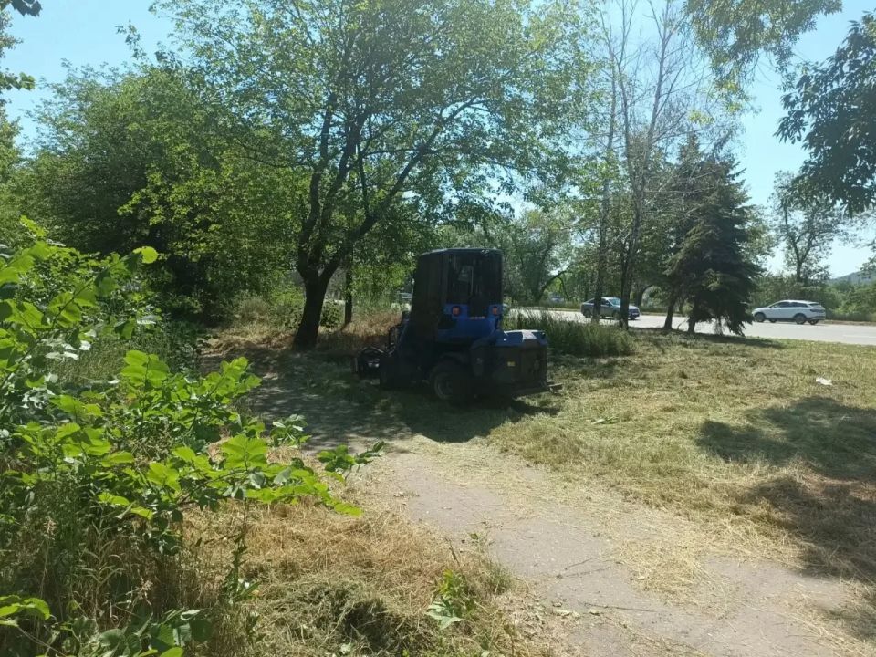 В районе продолжается активная кампания по борьбе с сорной и карантинной растительностью — сегодня в центре внимания участок улицы Московской, а также проспект Генерала Данилова В районе продолжается активная кампания по борьбе с сорной и карантинной растительностью — сегодня в центре внимания участок улицы Московской, а также проспект Генерала Данилова