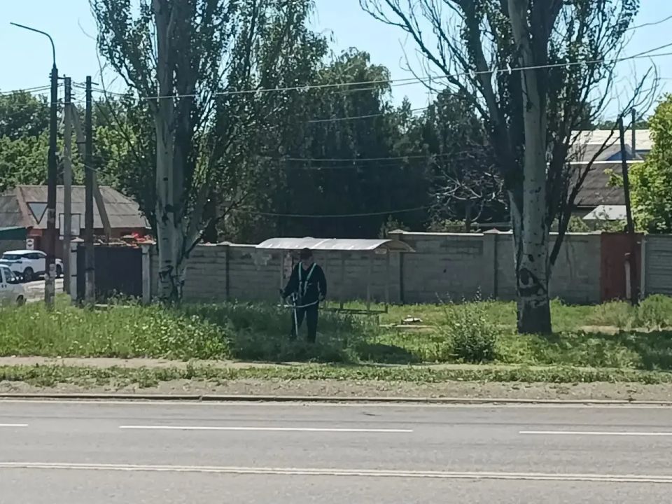 В районе продолжается активная кампания по борьбе с сорной и карантинной растительностью — сегодня в центре внимания участок улицы Московской, а также проспект Генерала Данилова В районе продолжается активная кампания по борьбе с сорной и карантинной растительностью — сегодня в центре внимания участок улицы Московской, а также проспект Генерала Данилова