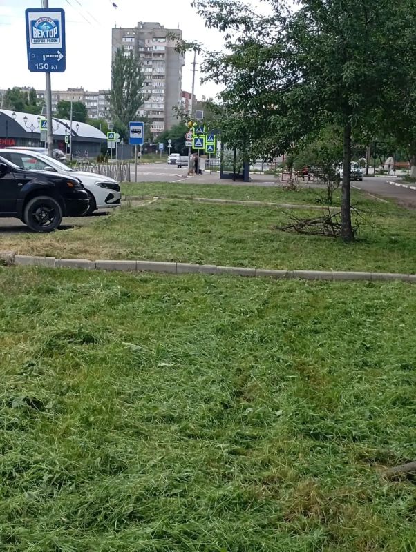 На территории Горняцкого внутригородского района проходит работа по покосу сорной растительности На территории Горняцкого внутригородского района проходит работа по покосу сорной растительности