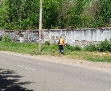 С целью приведения территории в надлежащее санитарное состояние в Кировском внутригородском районе города Макеевки проведены работы по покосу сорных и карантинных трав на по ул. Металлургической