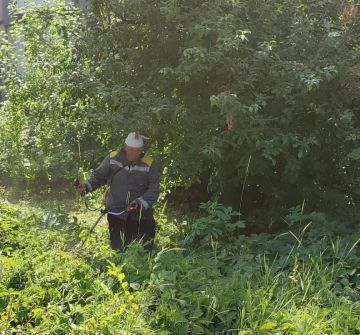 8 июля, с целью приведения территории в надлежащее санитарное состояние в Кировском внутригородском районе города Макеевки силами Макеевского филиала НКО «ЕДИНЫЙ РЕГИОНАЛЬНЫЙ ФОНД ПО УПРАВЛЕНИЮ МНОГОКВАРТИРНЫМИ ДОМАМИ НА...