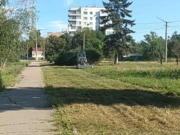 На территории Горняцкого внутригородского района продолжается активная кампания по борьбе с сорной и карантинной растительностью