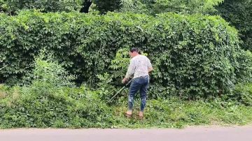 �������, 16 ����, � ������ ����� ���������� ������ ����, ������ ����������� ������ ���������� ���������������� ������ ������������� ���������� ������ �������� �������� �������� ����������, ���� ��������� ������ �� ������...