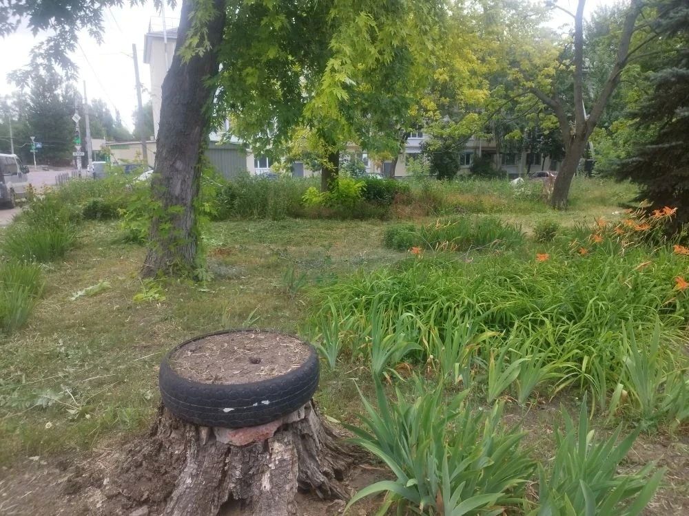 С целью приведения территории в надлежащее санитарное состояние силами МБУ «Детская школа искусств № 1 города Макеевки» выполнены работы по покосу сорных и карантинных трав по улице Трубицына на прилегающей к учреждению... С целью приведения территории в надлежащее санитарное состояние силами МБУ «Детская школа искусств № 1 города Макеевки» выполнены работы по покосу сорных и карантинных трав по улице Трубицына на прилегающей к учреждению...