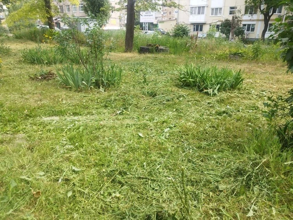 С целью приведения территории в надлежащее санитарное состояние силами МБУ «Детская школа искусств № 1 города Макеевки» выполнены работы по покосу сорных и карантинных трав по улице Трубицына на прилегающей к учреждению... С целью приведения территории в надлежащее санитарное состояние силами МБУ «Детская школа искусств № 1 города Макеевки» выполнены работы по покосу сорных и карантинных трав по улице Трубицына на прилегающей к учреждению...