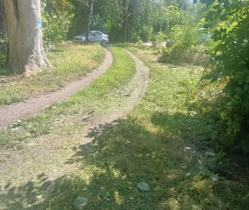 Сегодня, 29 июля, с целью приведения территории в надлежащее санитарное состояние в Кировском внутригородском районе города Макеевки силами Макеевского филиала НКО «ЕДИНЫЙ РЕГИОНАЛЬНЫЙ ФОНД ПО УПРАВЛЕНИЮ МНОГОКВАРТИРНЫМИ...
