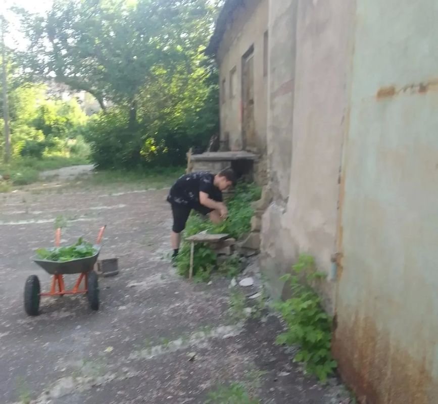 Сегодня, 6 августа, в рамках акции «Чистый четверг», сотрудниками и учащимися Государственного бюджетного профессионального образовательного учреждения «Макеевский транспортно-технологический колледж» проведены работы по... Сегодня, 6 августа, в рамках акции «Чистый четверг», сотрудниками и учащимися Государственного бюджетного профессионального образовательного учреждения «Макеевский транспортно-технологический колледж» проведены работы по...
