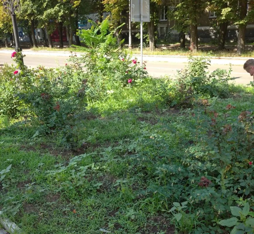 С целью приведения территории в надлежащее санитарное состояние силами ГБУ «Городской дворец культуры им. В. Г. Кирсановой» (Дворец культуры «ЯКХЗ») проведены работы по благоустройству и уборке клумб возле здания дворца С целью приведения территории в надлежащее санитарное состояние силами ГБУ «Городской дворец культуры им. В. Г. Кирсановой» (Дворец культуры «ЯКХЗ») проведены работы по благоустройству и уборке клумб возле здания дворца