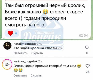 В ДНР люди в соцсетях переживают из-за кролика, который скорее всего погиб в сгоревшей "Галактике"в Макеевке