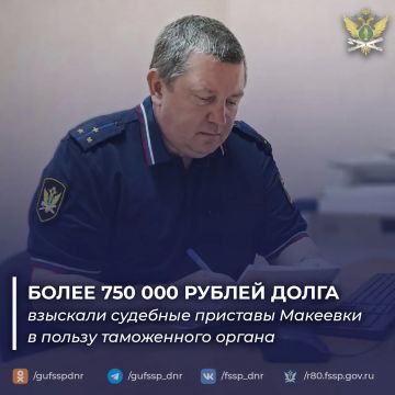 Более 750 тысяч рублей задолженности взыскали судебные приставы Макеевки в пользу таможенного органа