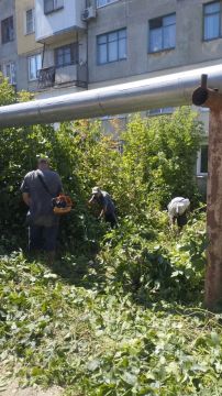 В Центрально-Городском внутригородском районе в рамках акции «Маленькие добрые дела» при непосредственной помощи активистов ПО 566, 567 проведена работа по покосу сорных и карантинных трав и по обрезке кустов и поросли по...