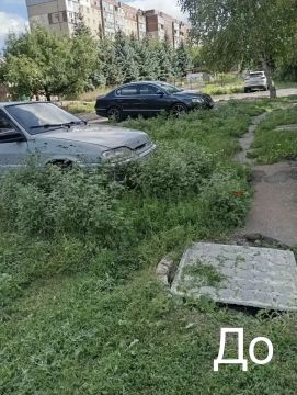 Продолжаются работы по покосу карантинных трав: