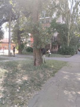 В Центрально-Городском внутригородском районе в рамках акции «Маленькие добрые дела» при непосредственной помощи активистов ПО 580 проведена работа по покосу сорных и карантинных трав по адресу: ул. Донецкая, 41/19