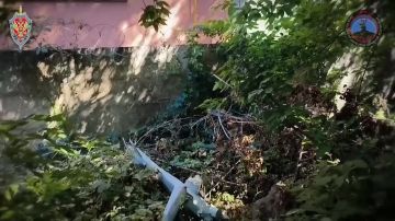 «Купол Донбасса» в действии: за неделю над территорией ДНР сбили 88 украинских беспилотников