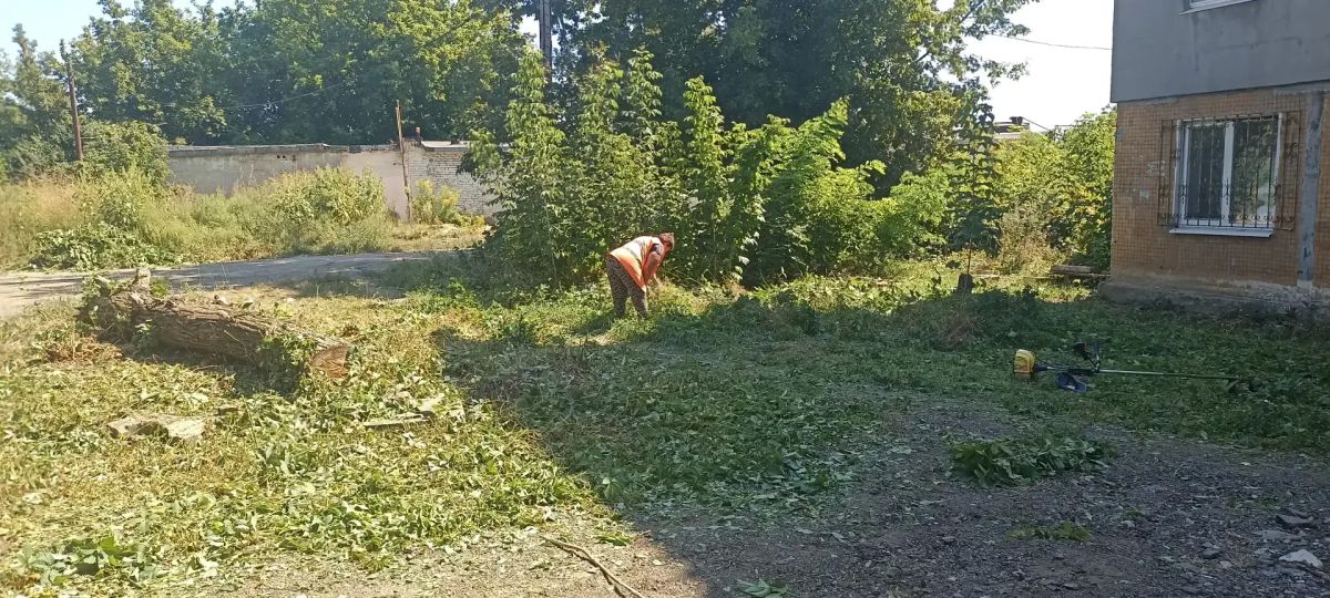 В Центрально-Городском внутригородском районе, в рамках акции "Маленькие добрые дела", при непосредственной помощи активистов ПО 569, проведена работа по наведению санитарного порядка: осуществлен покос сорных и... В Центрально-Городском внутригородском районе, в рамках акции "Маленькие добрые дела", при непосредственной помощи активистов ПО 569, проведена работа по наведению санитарного порядка: осуществлен покос сорных и...