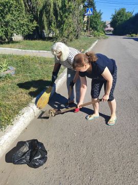 В Червоногвардейском районе прошла экологическая акция «Чистый город», в которой приняли участие сотрудники предприятий, учреждений и организаций, а также неравнодушные жители, которым небезразличен облик родного района