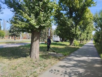 С целью приведения территории в надлежащее санитарное состояние в Кировском внутригородском районе города Макеевки силами МУП АГМ «Перспектива» проведены работы по покосу травы по ул. 50 лет образования СССР
